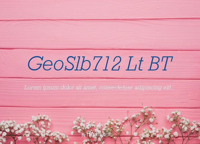 GeoSlb712 Lt BT example